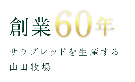 創業60年 サラブレッドを生産する山田牧場